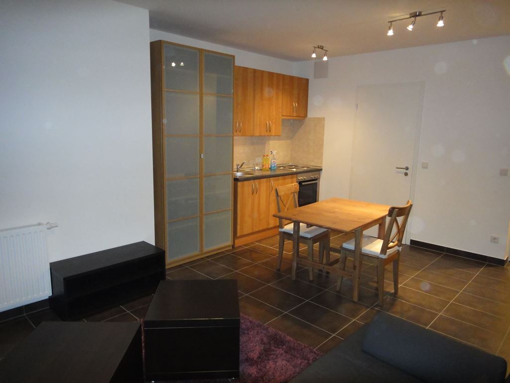 Appartement Studio ESCH SUR ALZETTE 1100€ EC IMMO Appartement Studio ESCH SUR ALZETTE 1100€ EC IMMO