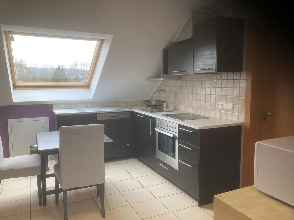 Appartement Studio ESCH SUR ALZETTE 1350€ EC IMMO Appartement Studio ESCH SUR ALZETTE 1350€ EC IMMO