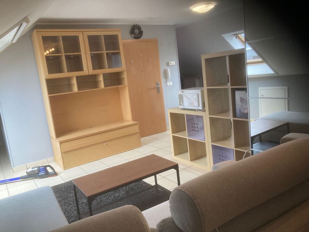 Appartement Studio BASCHARAGE 1350€ EC IMMO Appartement Studio BASCHARAGE 1350€ EC IMMO